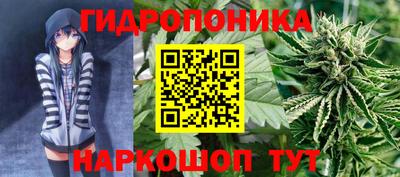 эйфоретик Кулебаки