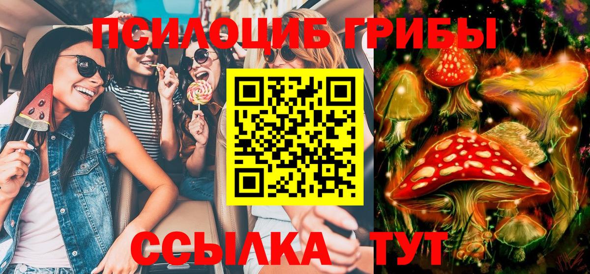 Псилоцибиновые грибы Cubensis  Псилоцибиновые грибы Magic Shrooms  Вход с VPN  Киров 