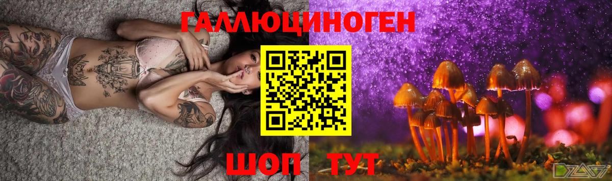 Псилоцибиновые грибы ЛСД Киров